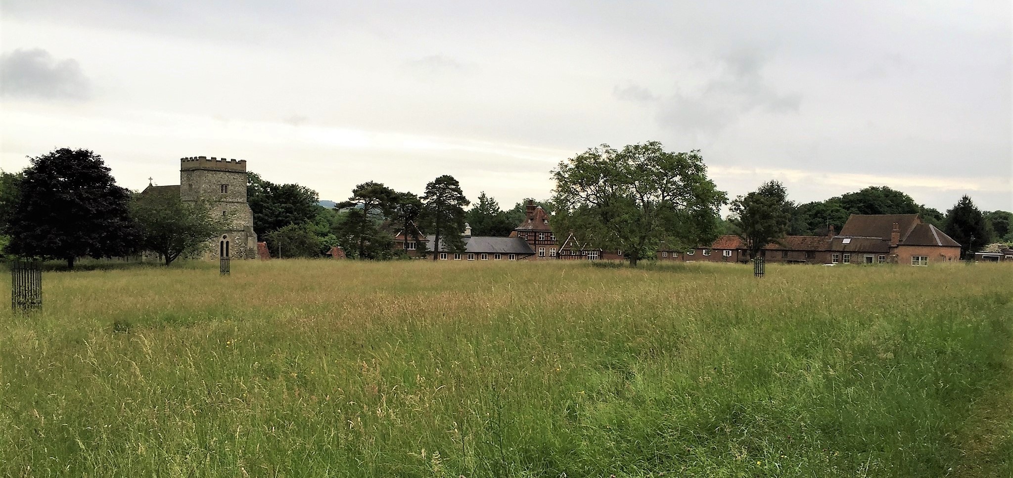 Streatley Meadows